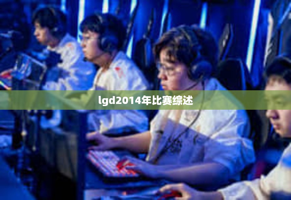 lgd2014年比赛综述