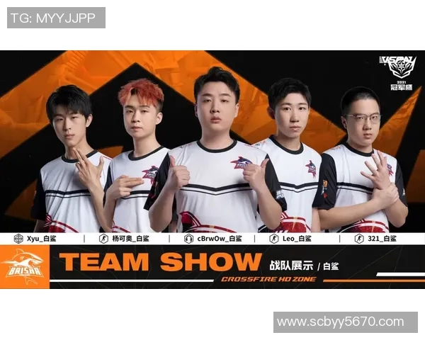 白鲨比赛-海洋王者—白鲨比赛的热血瞬间-白鲨比赛